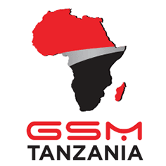 GSM GROUP