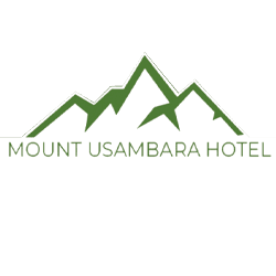 MOUNT USAMBARA HOTEL